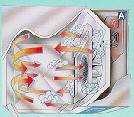 fourvapeurventilateur45x35.jpg (9756 octets)