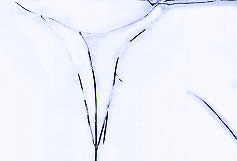 Illustration caractéristiques physiques verre durci. Illustration caractéristiques physiques verre durci.